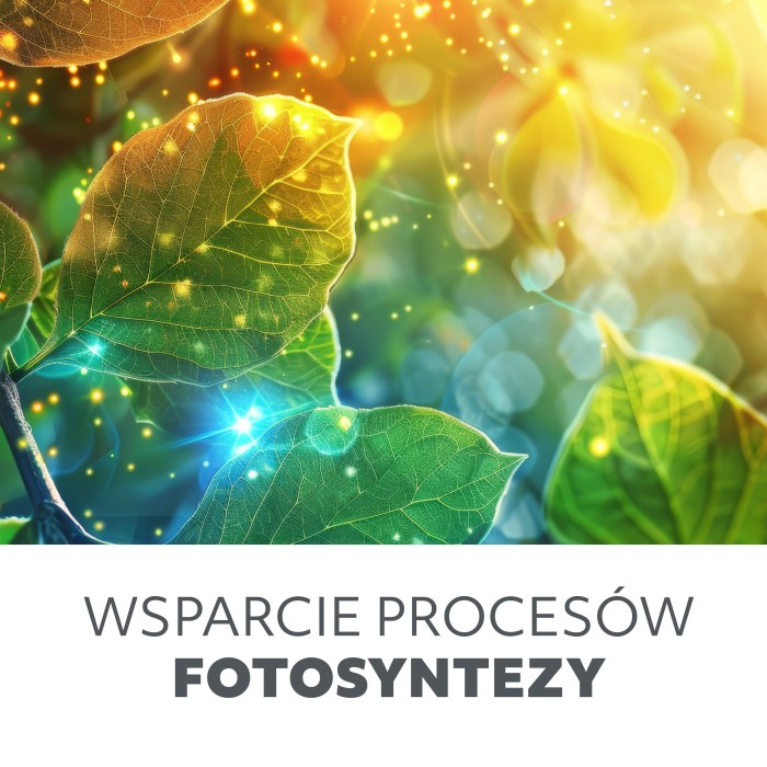 Ampoule de croissance LED PLANTY FGS 8W E27 1200K Kobi Design