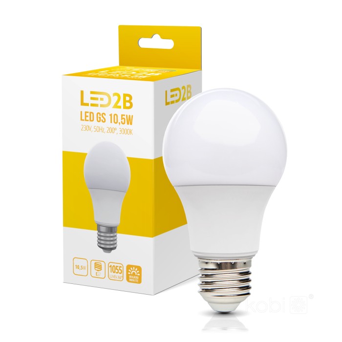 Ampoule LED GS 10,5W E27 3000K LED2B