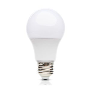 Ampoule LED GS 10,5W E27 6500K LED2B