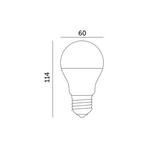 Ampoule LED GS 10,5W E27 6500K LED2B