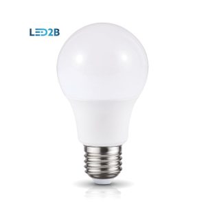 Ampoule LED GS 10W E27 6000K LED2B