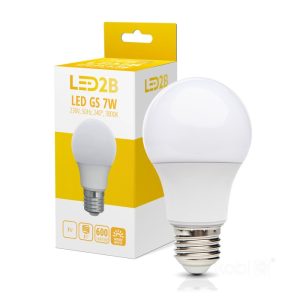 Ampoule LED GS 7W E27 3000K LED2B