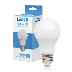 Ampoule LED GS 7W E27 6000K LED2B