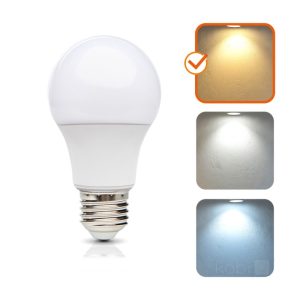 Ampoule LED GS 8,5W E27 3000K LED2B