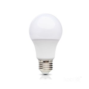 Ampoule LED GS 8,5W E27 3000K LED2B