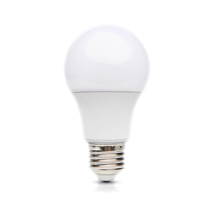 Ampoule LED GS 8,5W E27 4000K LED2B