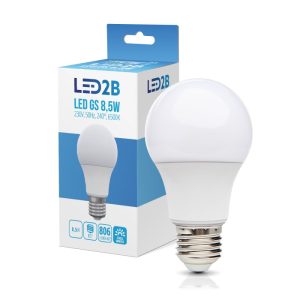 Ampoule LED GS 8,5W E27 6500K LED2B