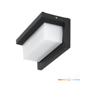 Applique murale de jardin LED LENTERO 12W 4000K LX IP54 noir LED2B