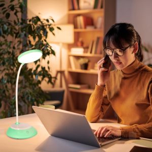 Lampe de bureau LED VISUA DESK 5W Menthe LED2B