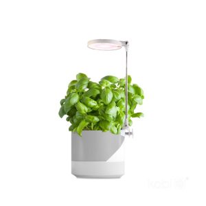 Lampe de croissance pour plantes LED VERDI 10W 3200K Kobi Design