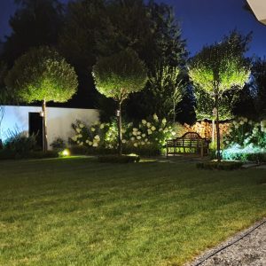 Lampe de jardin BLAKE 2 1xGU10 IP65 noir Kobi