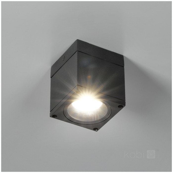 Lampe de jardin QUERK 1 1xGU10 IP54 noir LED2B