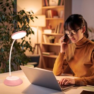 Lampe de table LED VISUA DESK 5W Rose LED2B