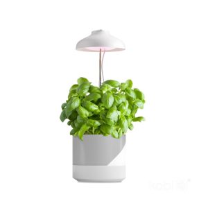 Lampe LED pour plantes VERDI 5W 3200K Kobi Design