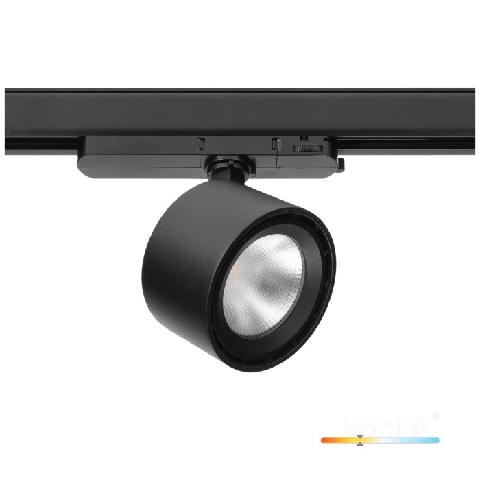 Spot LED sur rail MOSS 10W 3000K noir Art Of Light