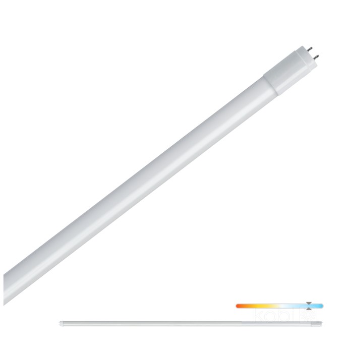 Tube LED T8 G2 22W 150cm 6500K Kobi Premium